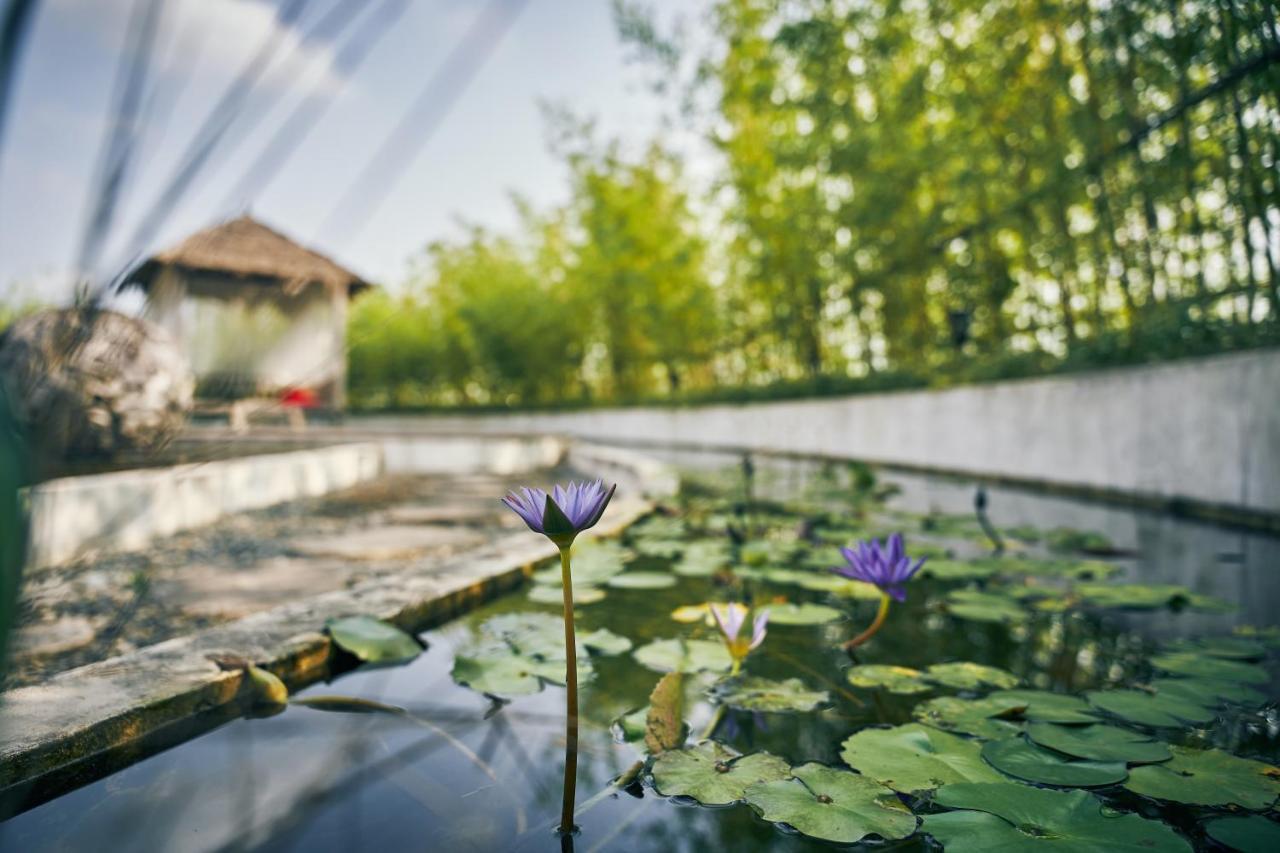 Manli Hotel Shanghai Pudong Airport - Pet Friendly Buitenkant foto